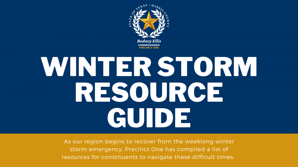 Winter Storm Resource Guide in E